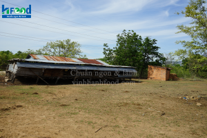 Chuồng dê/cừu trên núi ở Ninh Thuận