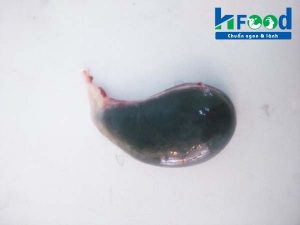 Mật dê có tác dụng gì