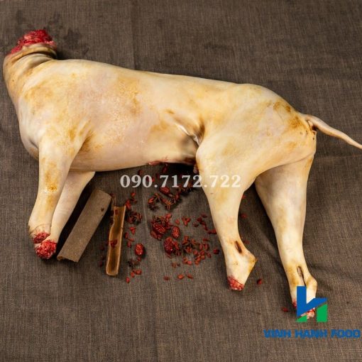 Dê cái tơ móc hàm nguyên con