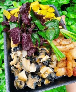 Ốc nấu chuối đậu
