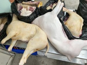 Thịt dê chữa bệnh