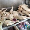 Dê lẩu nguyên con