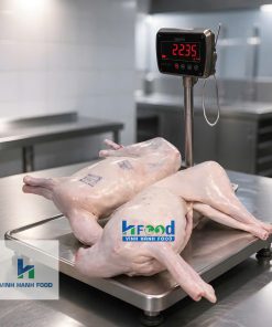 Cừu cái tơ móc hàm