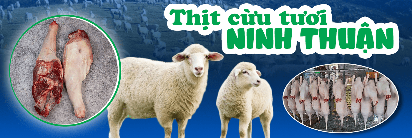 Banner thịt cừu tươi