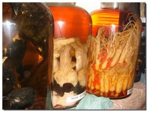 Nguyên liệu ngâm rượu ngọc dương