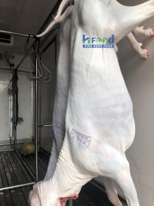 thịt dê làm món gì ngon nhất