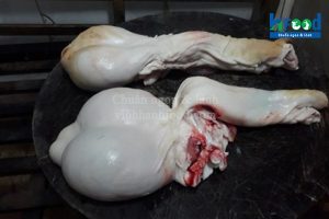 Ngọc dương dê sỉ