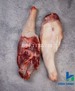 Lamb export supplier